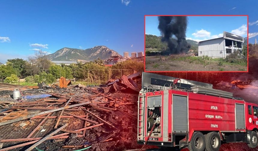 Antalya Alanya'da yangın korkuttu!