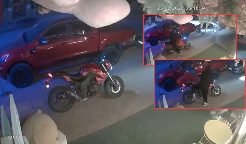 Antalya'da çiçekçi önünden pelüş ayı çalındı!