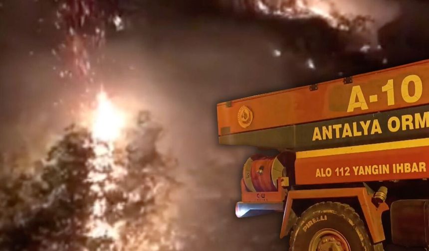 Antalya'da orman yangını korkuttu!