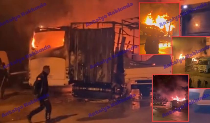 Antalya'da otobüs ve kamyonetler alev alev yandı! İşte o anlar