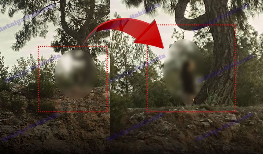 Antalya'da şüpheli olay: Bir kişi ağaçta asılı halde ölü bulundu