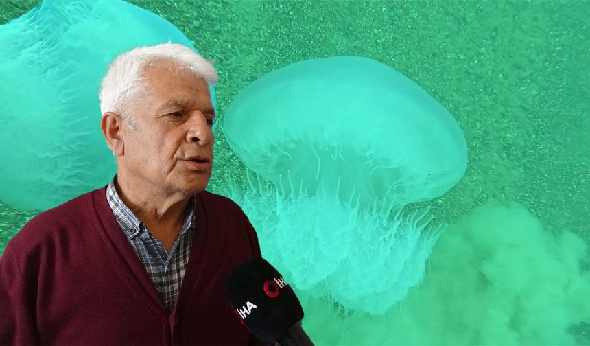 Prof. Dr. Gökoğlu açıkladı: Poyraz dev denizanalarını Antalya’ya taşıdı
