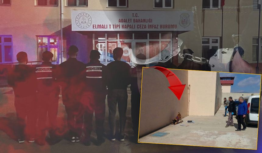 Antalya'da cezaevinde şok plan: Hükümlülerle bağlantılı 14 kişi tutuklandı