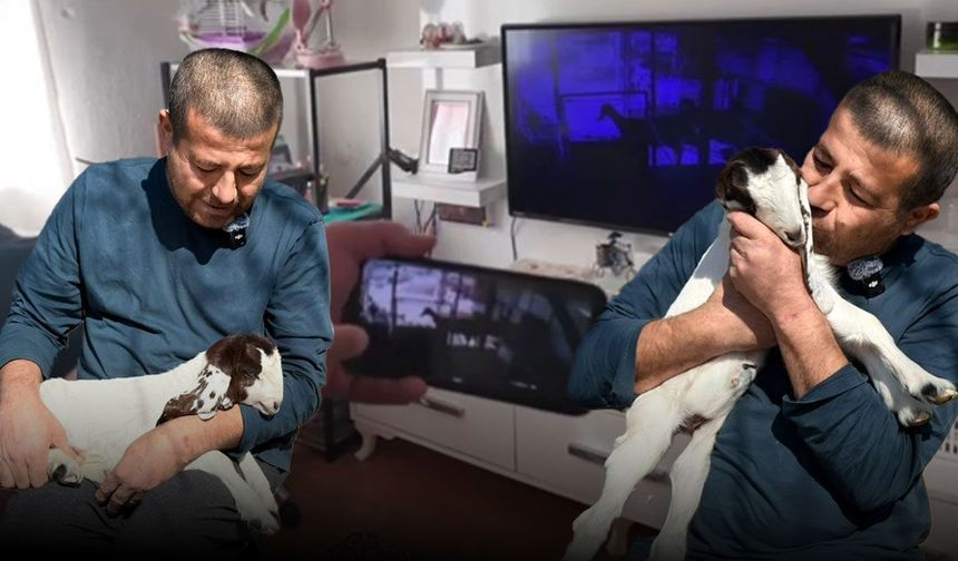 Antalya'da “Keçi sevgisini” teknolojiyle buluşturdu!