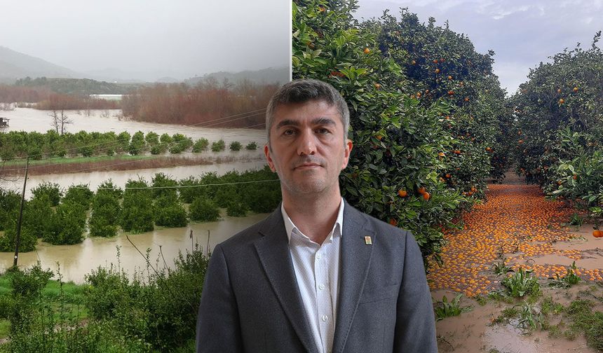 Doç. Dr. Güray Doğan: “Aşırı hava olayları normalleşti, sistematik hazırlık yapılmalı”