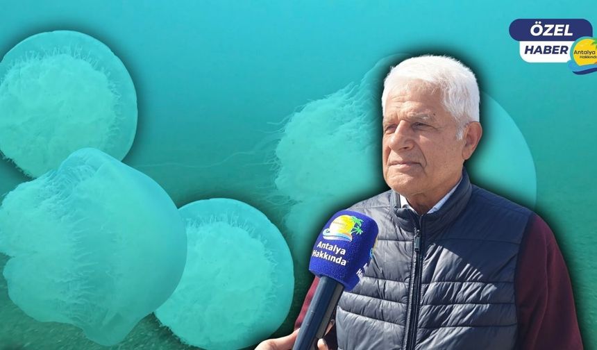 Antalya kıyılarını dev denizanaları vurdu: Temas eden dikkat!