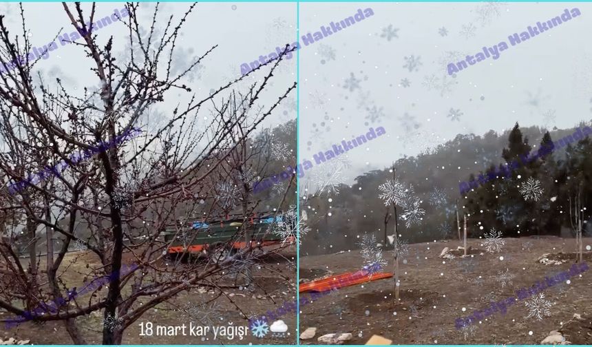 Antalya Saklıkent’te kar yağışı başladı!