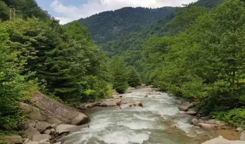 Türkiye'de havası en temiz iller açıklandı!