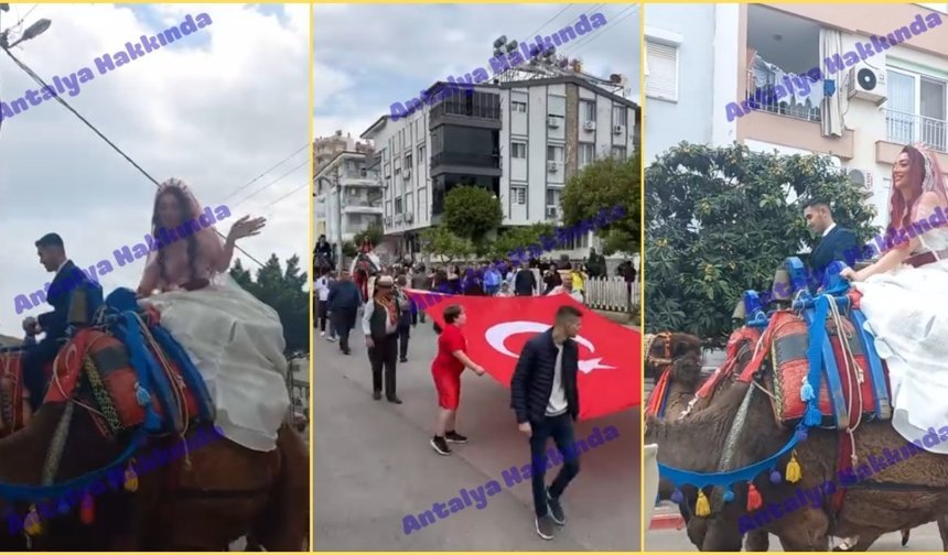 Antalya’da sıra dışı olay: Gelini deveyle aldılar!