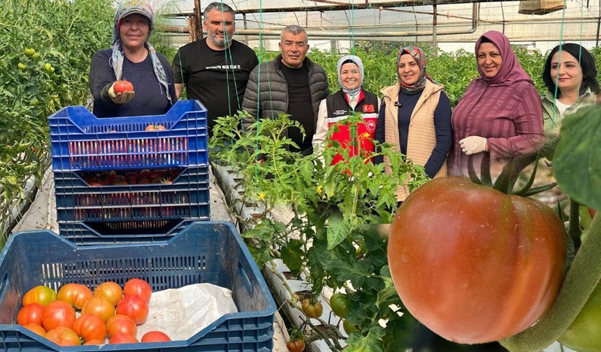 Antalya'da kadın çiftçiler sahada: 370 bin tonluk rekolte üretiliyor