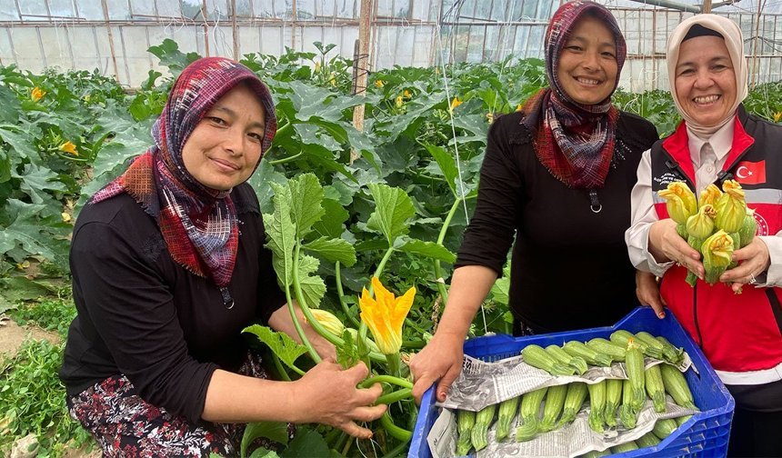 Antalya'da kadın çiftçiden büyük başarı: Üretiyor, ihraç ediyor ve pazarda satıyor!