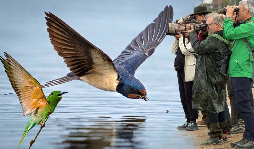 Antalya'da 120'nin üzerinde kuş türü gözlemlendi