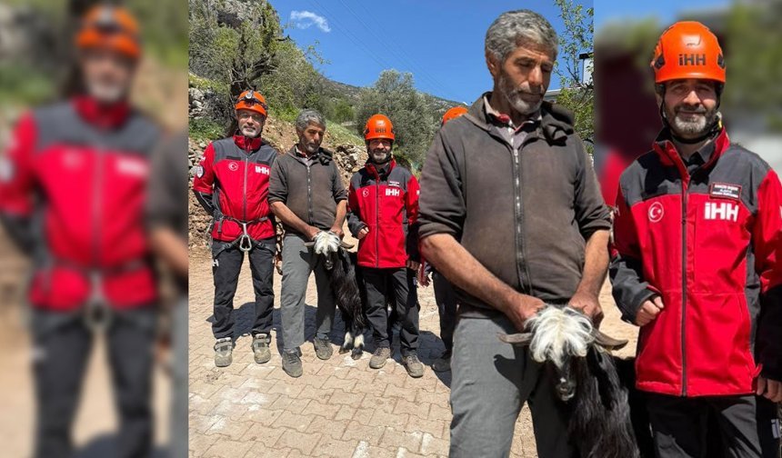 Antalya'da mahsur kalan keçiler için nefes kesen operasyon!