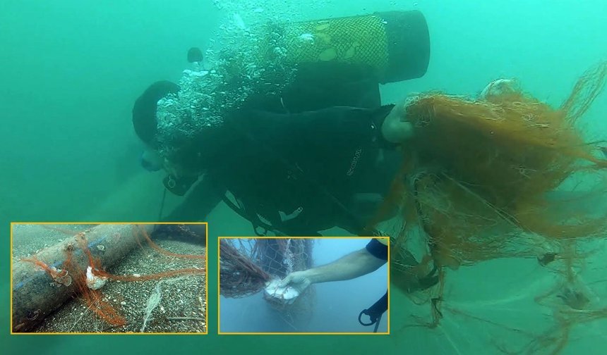 Hayalet ağlarla mücadelede, milyonlarca deniz canlısı kurtarıldı