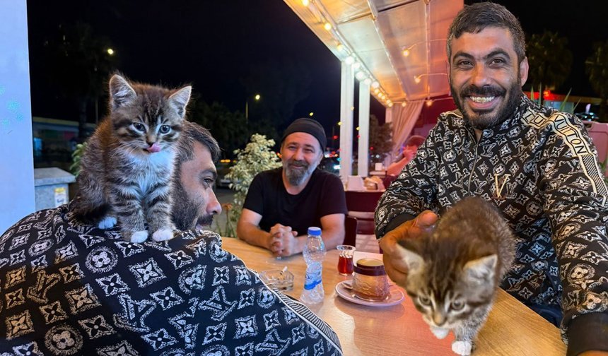 Antalya'da yavru kedi sayesinde hayata bağlandı!