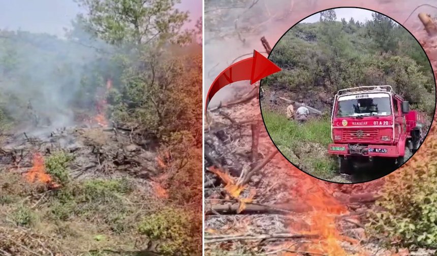 Antalya'da ormanlık alanda korkutan yangın!