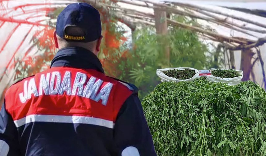 Antalya'da seraya jandarma baskını! Kilolarca madde ele geçirildi