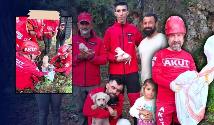 Antalya’da yavru köpekler için film gibi seferberlik
