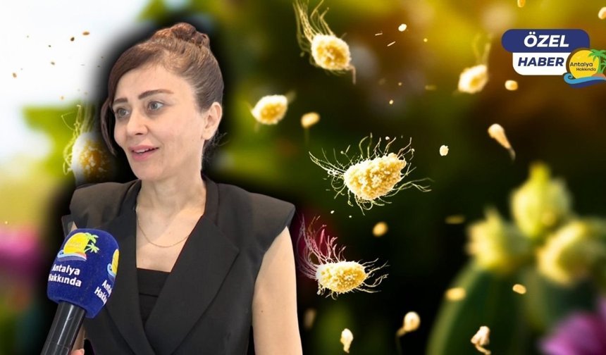 Yaz geliyor ama alerji bitmiyor! "Polen alerjisi cilt rahatsızlıklarını da tetikliyor"
