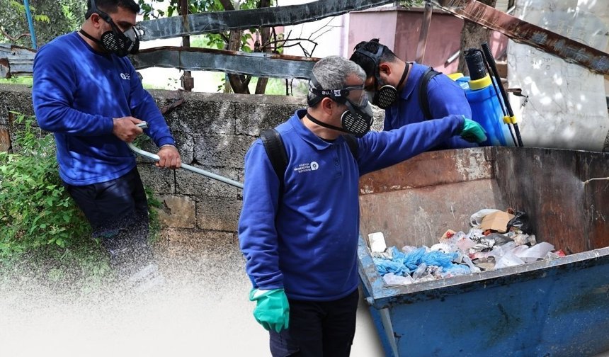 Antalya sineksiz bir yaz için alarma geçti