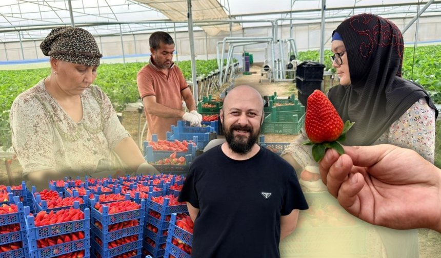 Almanya’da öğrendi Antalya'da uyguladı! Hedef 100 ton