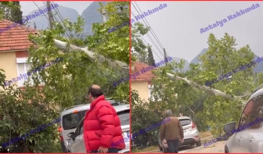 Antalya’da fırtına ağaç devirdi, elektrik kesintisi yaşandı!