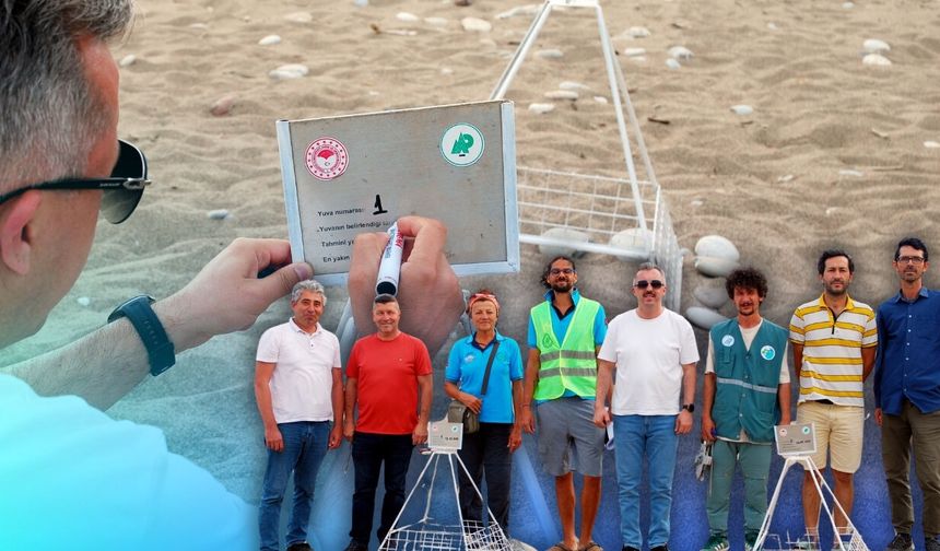Antalya Çıralı Sahili’nde sezonun ilk caretta caretta yuvaları tespit edildi!