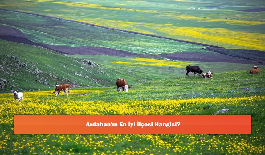Ardahan'ın En İyi İlçesi Hangisi?
