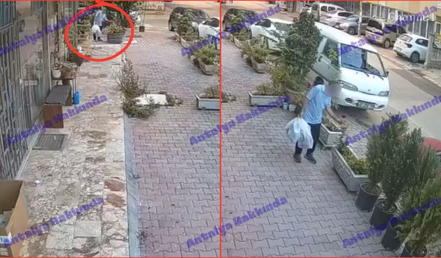 Antalya’da çiçek hırsızı kameraya yansıdı!