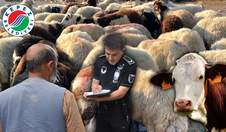 Antalya'da izinsiz kurban satışına sıkı denetim!