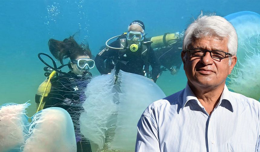 Antalya Körfezi’nde denizanası geçişi tamamlandı: “Vatandaşlarımız rahatlıkla denize girebilir”