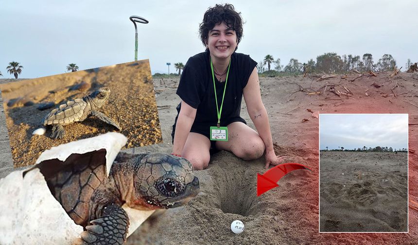 Antalya'da caretta caretta sezonu açıldı: İlk yuva “KY-1” oldu