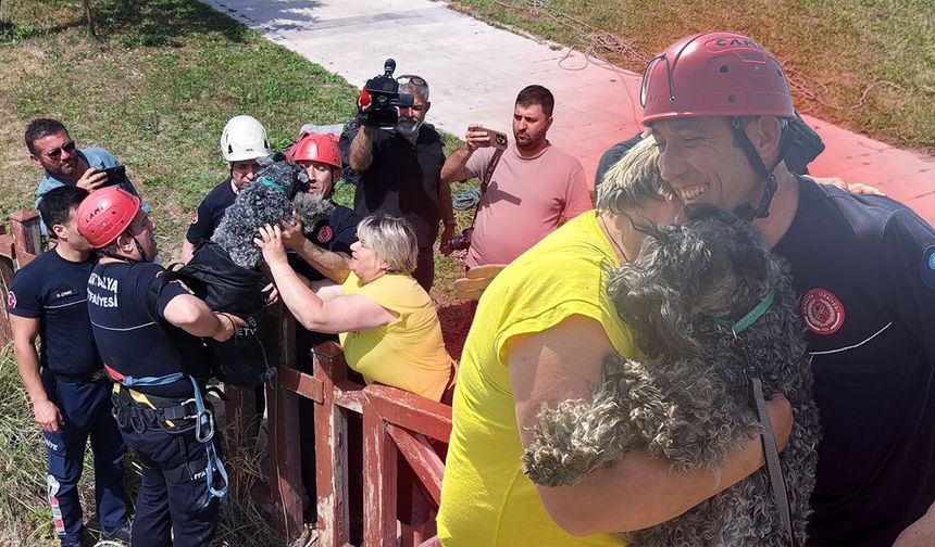 Antalya'da kedi kovalarken falezlerden düştü: Nika'nın yeri dronla tespit edildi
