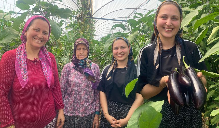 Antalya’da üç kuşak sera mesaisi: Anneanne, anne ve torun aynı toprakta üretiyor