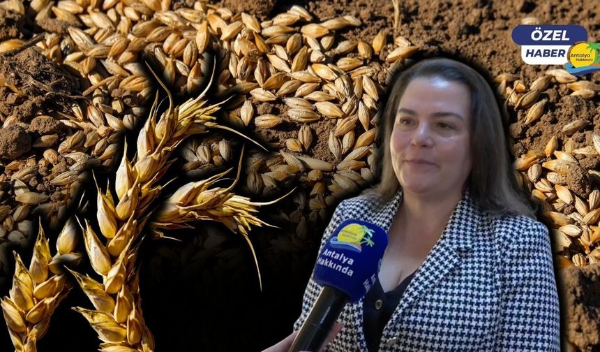 Tarımda iklim krizi alarmı: "Antalya'da en az 16 bin dönüm arazi zarar gördü"