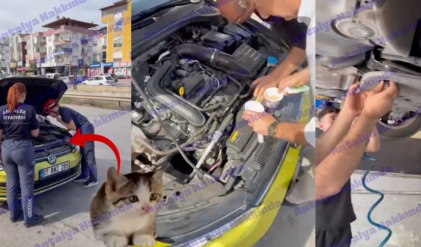 Antalya'da araca sıkışan kedi için büyük seferberlik! Saatler sonra kurtarıldı