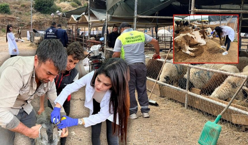 Kepez’de kurban satış ve kesim alanları bayram öncesi denetlendi!