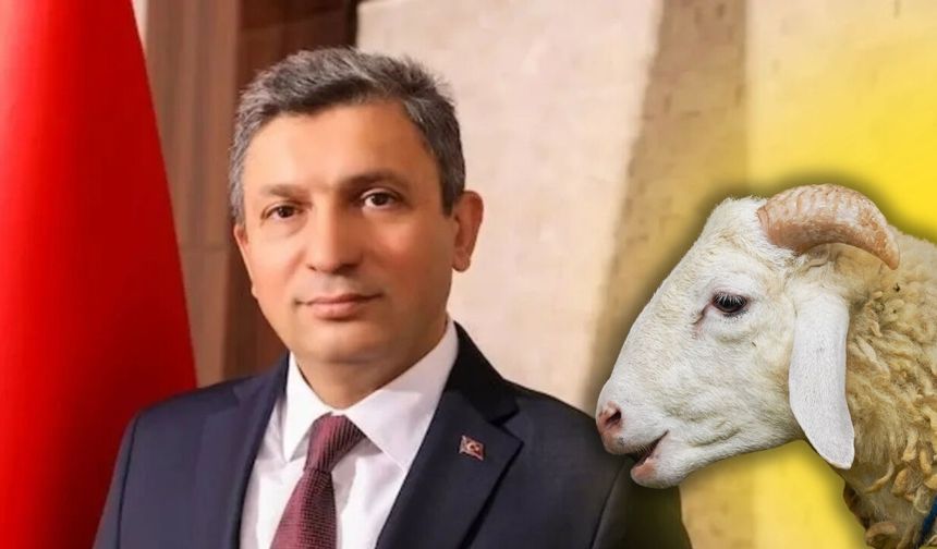 Antalya'da Vali Şahin’den Kurban Bayramı mesajı