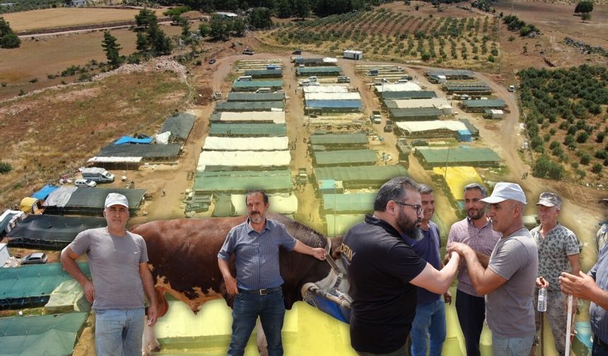 Antalya’da kurban pazarında büyük pazarlık!