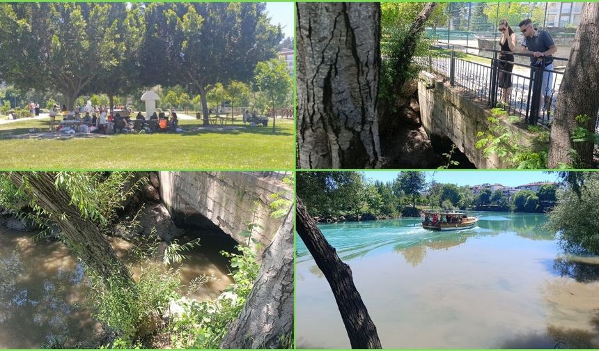 Antalya'da Manavgat Irmağı'nda endişeye düşüren görüntüler!