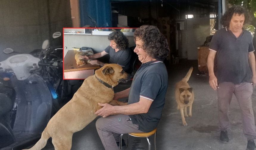 Antalya'da büyük vefa örneği: Gözleri görmeyen köpeğe evladı gibi bakıyor!