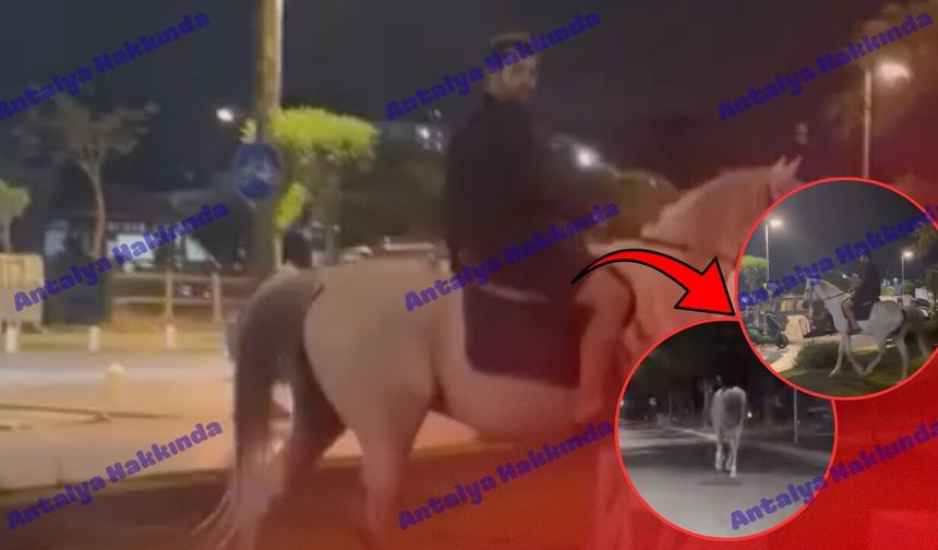 Antalya'da atıyla caddeye çıktı! İşte o anlar