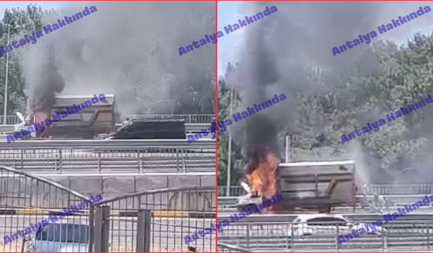 Antalya'da yanan hayvan yüklü kamyonetin en net görüntüsü ortaya çıktı!