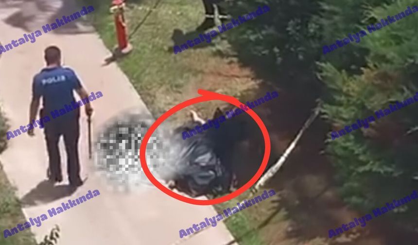 Antalya'da 36 yaşındaki adam 7’nci kattan atladı!