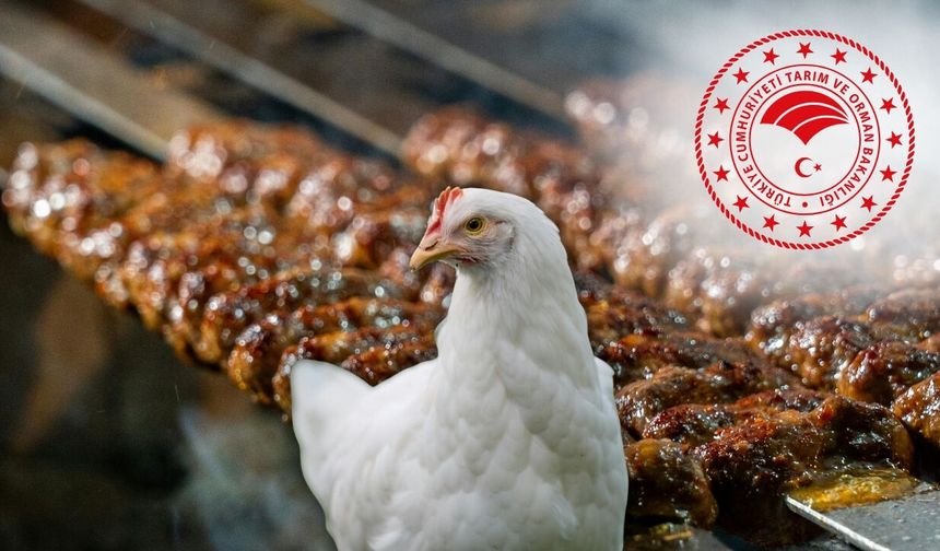 Antalya'da dana eti yerine kanatlı eti kullanan 3 firma ifşalandı!