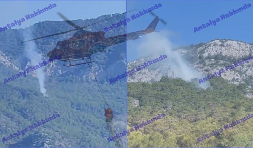 Antalya'da korkutan orman yangını! Havadan müdahale edildi