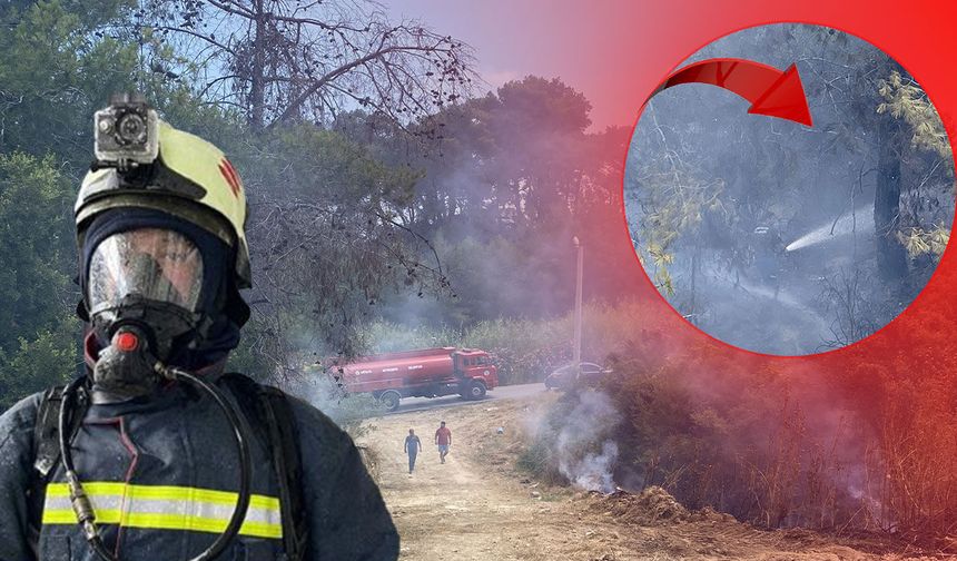 Antalya'da ormanlık alanda korkutan yangın!