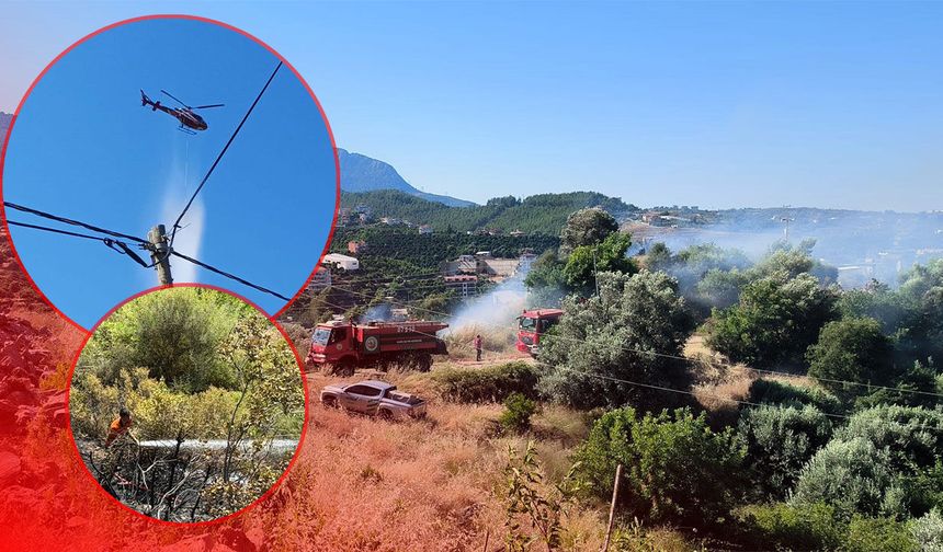 Antalya'da zirai alanda korkutan yangın!