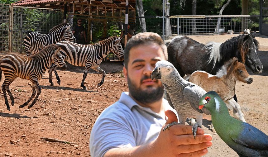 Antalya Doğal Yaşam Parkı'nda yeni doğum sevinci!