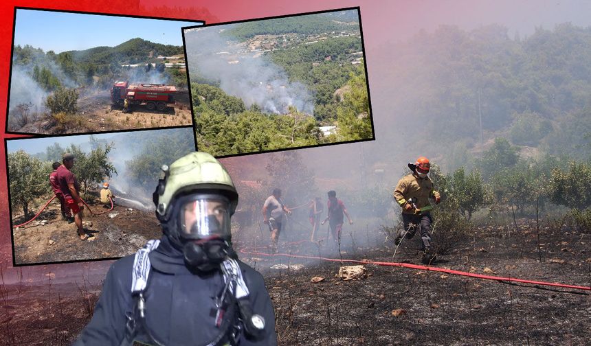 Antalya'da otluk alanda yangın: Meyve bahçeleri zarar gördü